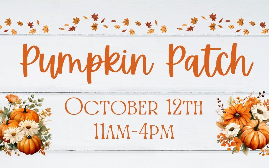 Pumpkin Patch – canceled