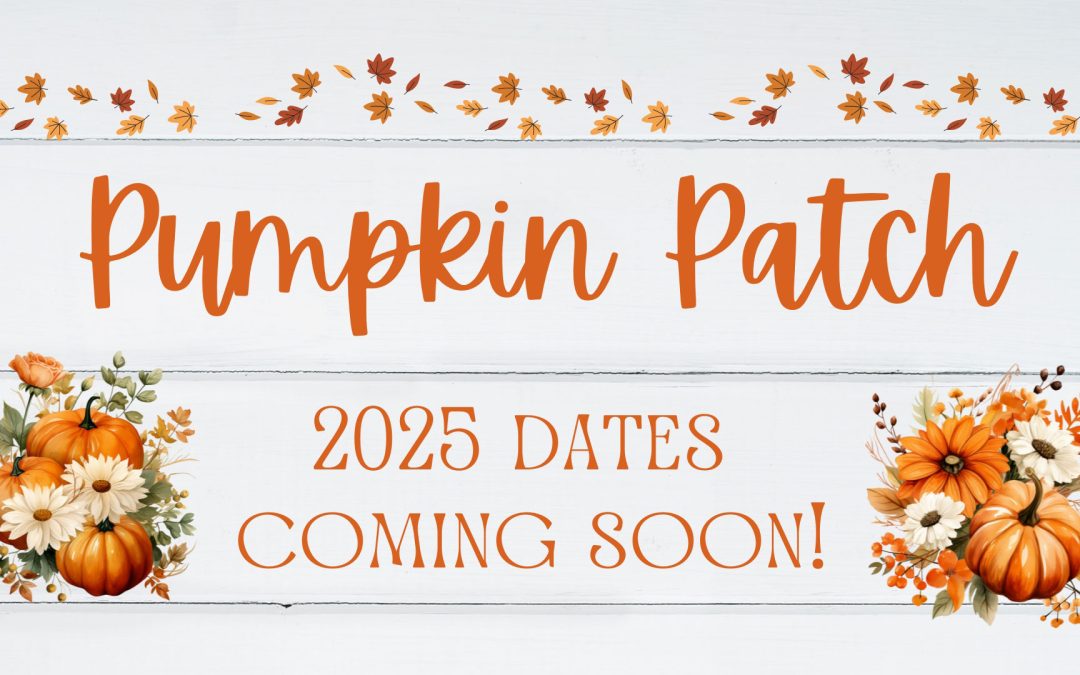 Pumpkin Patch